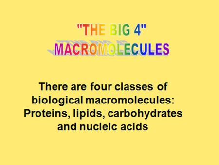 Before you can understand the topics in this unit there are some key vocabulary terms you need to know. MacromoleculePolymerMonomer.