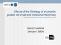 Effects of the Strategy of economic growth on small and medium enterprises Karel Havlíček January 2006.