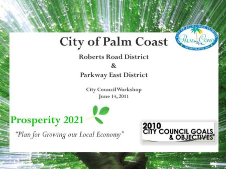 City of Palm Coast Roberts Road District & Parkway East District City Council Workshop June 14, 2011 Prosperity 2021 “Plan for Growing our Local Economy”