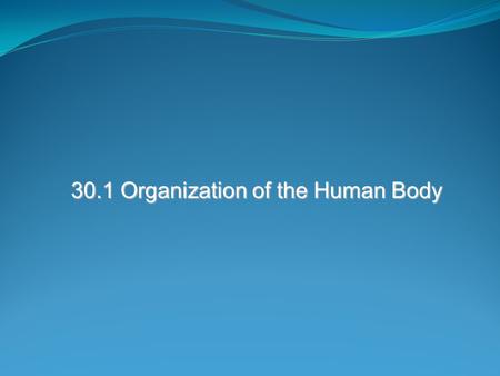 30.1 Organization of the Human Body. Chapter Mystery On the first day of summer football practice, all players were requires to have a physical. Each.