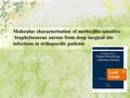 Molecular characterisation of methicillin-sensitive Staphylococcus aureus from deep surgical site infections in orthopaedic patients.