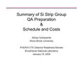 Summary of Si Strip Group QA Preparation & Schedule and Costs Abhay Deshpande Stony Brook University PHENIX VTX Detector Readiness Review Brookhaven National.