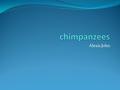 Alexis John. Table Of Contents Introduction What chimpanzees are- Chapter 1 Where chimpanzees live- Chapter 2 What chimps eat- Chapter 3 How chimps are.