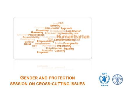G ENDER AND PROTECTION SESSION ON CROSS - CUTTING ISSUES.
