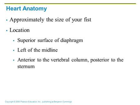 Copyright © 2006 Pearson Education, Inc., publishing as Benjamin Cummings Heart Anatomy  Approximately the size of your fist  Location  Superior surface.