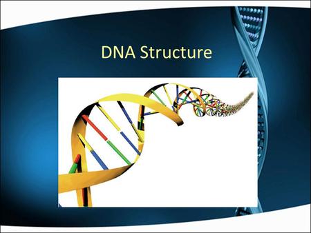 DNA Structure. 3.3.1 The Chemical Composition of DNA DNA is made of 3 different components: a deoxyribose sugar, a phosphate group, and a nitrogenous.