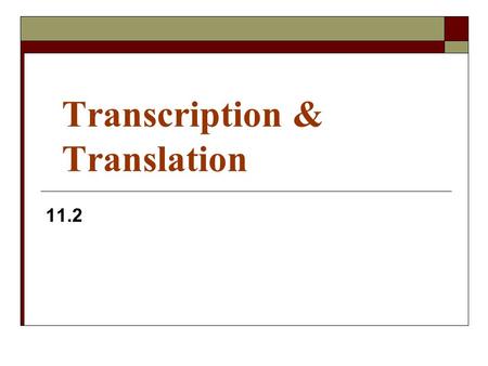 Transcription & Translation 11.2. DNA transcription to m-RNA The information in the “blueprint” of DNA is very important, so it never leaves the protection.