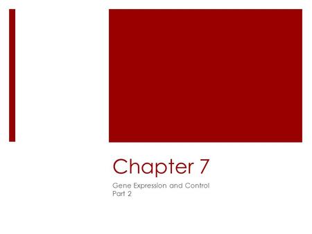 Chapter 7 Gene Expression and Control Part 2. Transcription: DNA to RNA  The same base-pairing rules that govern DNA replication also govern transcription.