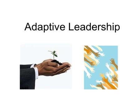 Adaptive Leadership. Authorities Basic Functions –Direction –Protection –Orientation to role and to place –Control of conflict –Maintenance of norms.