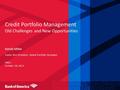 Credit Portfolio Management Old Challenges and New Opportunities Randy Miller Senior Vice President, Global Portfolio Strategies UNCC October 18, 2013.