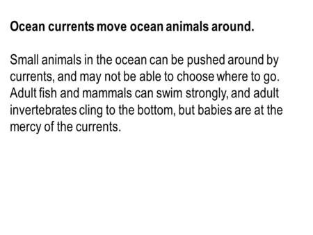 Ocean currents move ocean animals around. Small animals in the ocean can be pushed around by currents, and may not be able to choose where to go. Adult.