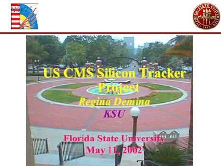 US CMS Silicon Tracker Project Regina Demina KSU Florida State University May 11, 2002.