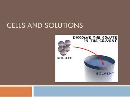 CELLS AND SOLUTIONS. Cells are solutions  A solution is a combination of any 2 + substances.  In cells, particles are in an aqueous (water) solution.