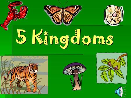 5 Kingdoms Moneran  One celled  No separate nucleus  Example: bacteria.