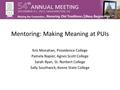 Mentoring: Making Meaning at PUIs Kris Monahan, Providence College Pamela Napier, Agnes Scott College Sarah Ryan, St. Norbert College Sally Southwick,