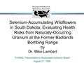 Selenium-Accumulating Wildflowers in South Dakota; Evaluating Health Risks from Naturally-Occurring Uranium at the Former Badlands Bombing Range by Dr.