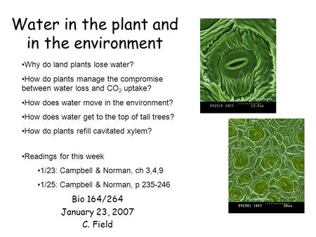 Water in the plant and in the environment Bio 164/264 January 23, 2007 C. Field Why do land plants lose water? How do plants manage the compromise between.