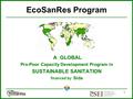 6/4/20161 EcoSanRes Program A GLOBAL Pro-Poor Capacity Development Program in SUSTAINABLE SANITATION financed by Sida.