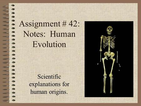 Assignment # 42: Notes: Human Evolution Scientific explanations for human origins.