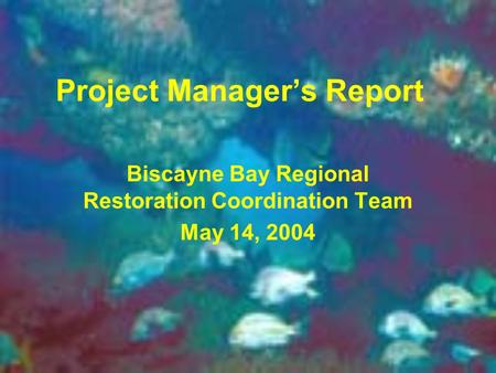 Project Manager’s Report Biscayne Bay Regional Restoration Coordination Team May 14, 2004.