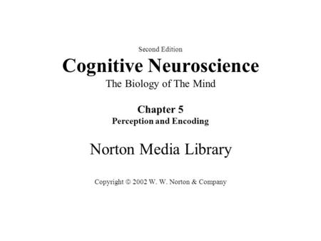 Second Edition Cognitive Neuroscience The Biology of The Mind Chapter 5 Perception and Encoding Norton Media Library Copyright  2002 W. W. Norton & Company.