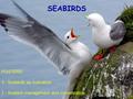 SEABIRDS POSTERS 3 - Seabirds as Indicators 2 - Seabird management and conservation.