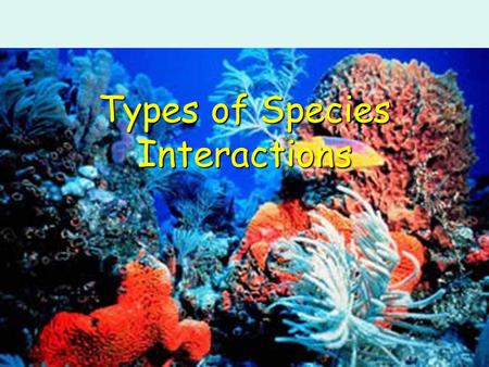 Types of Species Interactions. Species interactions In every ecosystem species interact in a variety of ways. –They can be positive (+), negative (-),