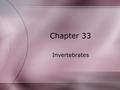 Chapter 33 Invertebrates. Lack a backbone Account for 95% of all known animal species. All but one of the 35 animal phyla.