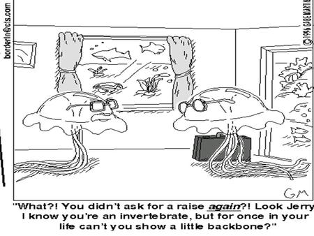 Comparing Invertebrates. Metazoans Also known as Kingdom Animalia –Multi-cellular –Develop from embryos –Divided into two groups based on the presence.