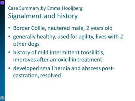 Case Summary:by Emma Hooijberg Signalment and history Border Collie, neutered male, 2 years old generally healthy, used for agility, lives with 2 other.