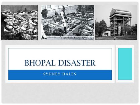 Bhopal Disaster Sydney Hales.