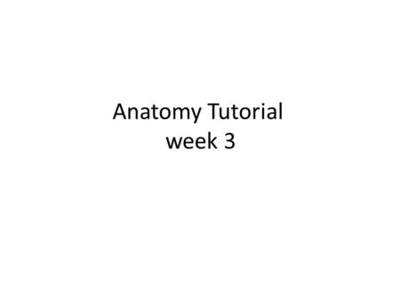 Anatomy Tutorial week 3. Bone fracture 1- Simple fracture. clean break overlying skin. 1- Simple transverse fractures at right-angles broken stick.