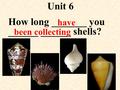 Unit 6 How long _______ you ______ ______ shells? have been collecting.