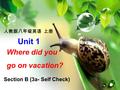 人教版八年级英语 上册 Unit 1 Where did you go on vacation? Section B (3a- Self Check)