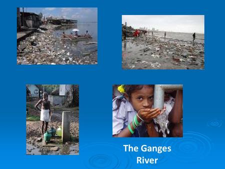 The Ganges River. The Ganges River begins in the Himalaya’s and flows 1600 miles through India. The river is important to Hindu’s around the world. The.