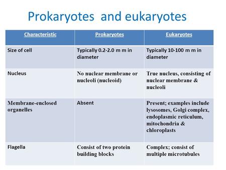 Prokaryotes and eukaryotes EukaryotesProkaryotesCharacteristic Typically 10-100 m m in diameter Typically 0.2-2.0 m m in diameter Size of cell True nucleus,