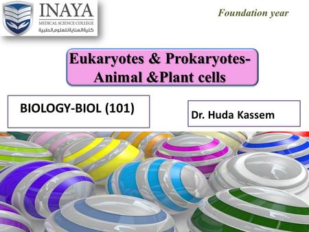 Foundation year BIOLOGY-BIOL (101) Eukaryotes & Prokaryotes- Animal &Plant cells Dr. Huda Kassem.