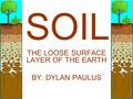 SOIL THE LOOSE SURFACE LAYER OF THE EARTH BY: DYLAN PAULUS.