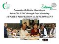 Promoting Reflective Teaching in Adult ESL/LINC through Peer Mentoring A UNIQUE PROFESSIONAL DEVELOPMENT OPPORTUNITY.