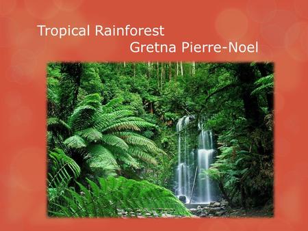 Tropical Rainforest Gretna Pierre-Noel. Climate  Warm and wet environment  Rains about 100-400 inches per year  70-80 ⁰ F and at night it drops down.