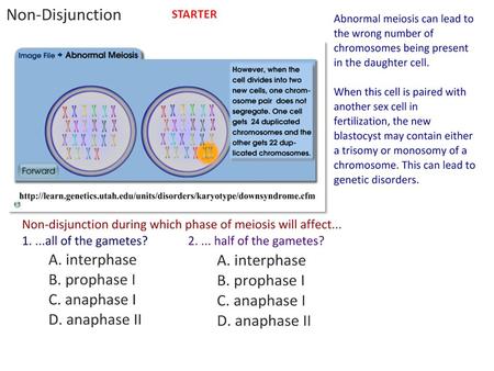 STARTER Now try your non-disjunction review sheet!