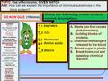 A. Waste gas that causes global warming. B. Building blocks of proteins. C. Chemical messengers released to the blood D. Stored sugar in plants. E.Break.