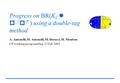 Progress on BR(K L  p + p - ) using a double-tag method A. Antonelli, M. Antonelli, M. Dreucci, M. Moulson CP working group meeting, 25 Feb 2003.