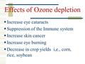 Effects of Ozone depletion  Increase eye cataracts  Suppression of the Immune system  Increase skin cancer  Increase eye burning  Decrease in crop.