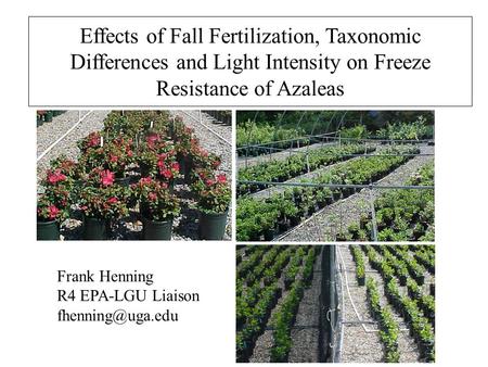 Effects of Fall Fertilization, Taxonomic Differences and Light Intensity on Freeze Resistance of Azaleas Frank Henning R4 EPA-LGU Liaison