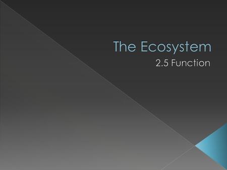  2.5.1 Explain the role of producers, consumers, and decomposers in the ecosystem.  2.5.2 Describe photosynthesis and respiration in terms of inputs,