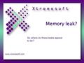 Memory leak? So where do these leaks appear to be? www.xtremesoft.com.