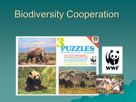 Biodiversity Cooperation. CITES * CITES (1973): Convention on International Trade in Endangered Species of Fauna and Flora *Regulates trade in living.