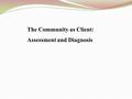 The Community as Client: Assessment and Diagnosis.