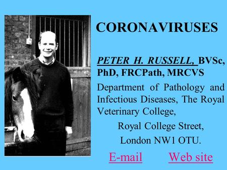 CORONAVIRUSES PETER H. RUSSELL, BVSc, PhD, FRCPath, MRCVS Department of Pathology and Infectious Diseases, The Royal Veterinary College, Royal College.